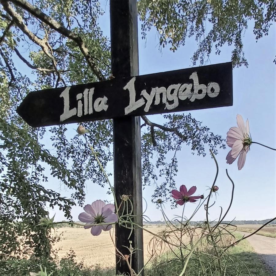 فندق Lilla Lyngabo هالمستاد المظهر الخارجي الصورة